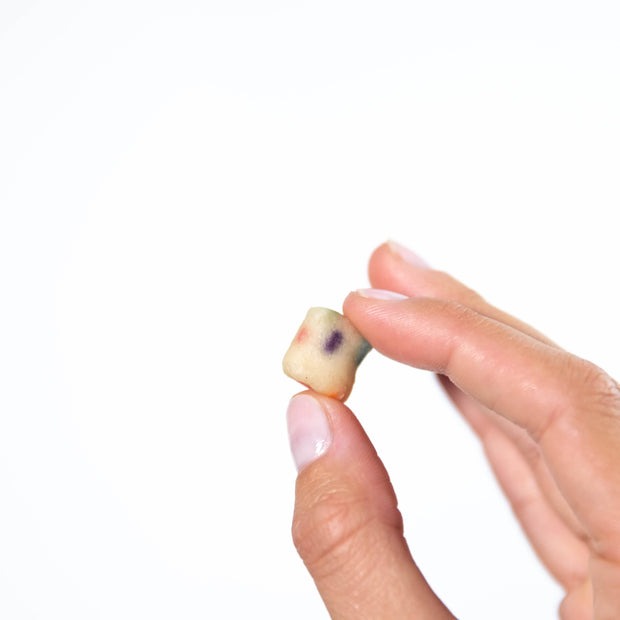 PhotoOct102023_83738AM_1